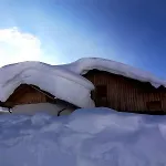 Schindeler