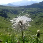 Schindeler Chalet *