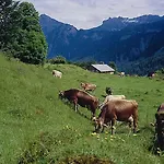Schindeler Chalet *