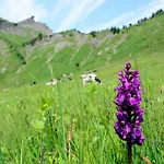 Schindeler Chalet