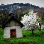 Schindeler * Mellau