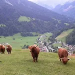 Schindeler Mellau