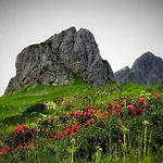 Schindeler Mellau