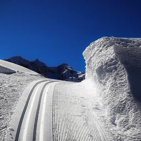 Alpstuga Schindeler
