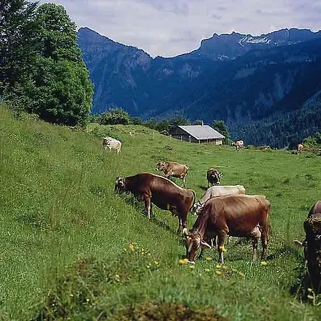 Schindeler Alpesi faház *