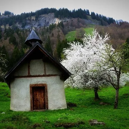 Schindeler * Mellau
