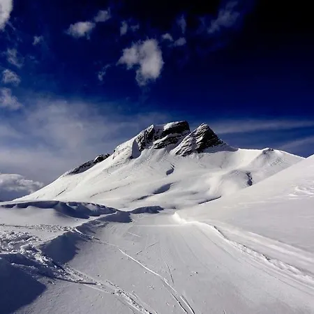 Schindeler Alpstuga
