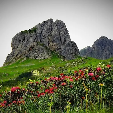 Schindeler Mellau