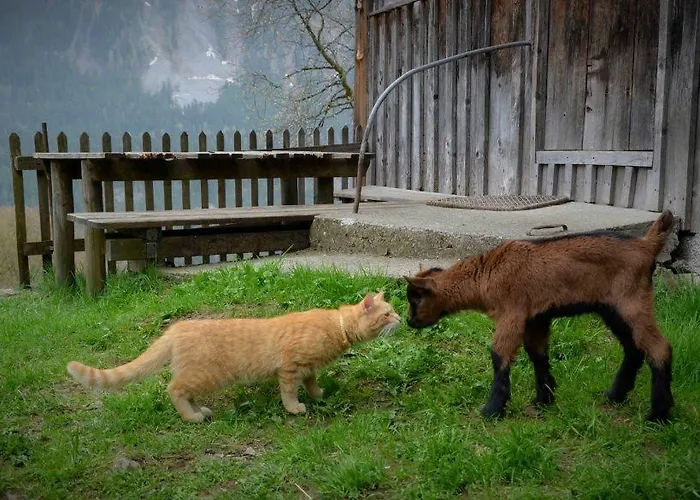 Schindeler Σαλέ *